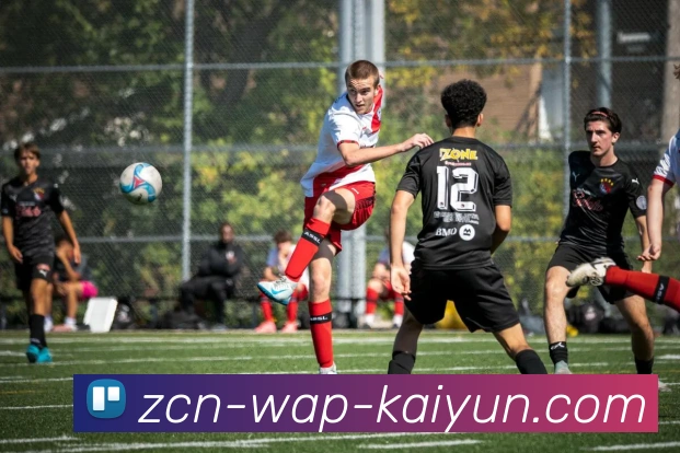 开云平台生态图